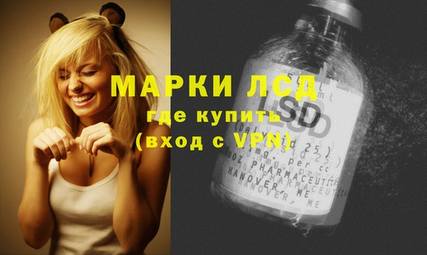 шишки Пестово